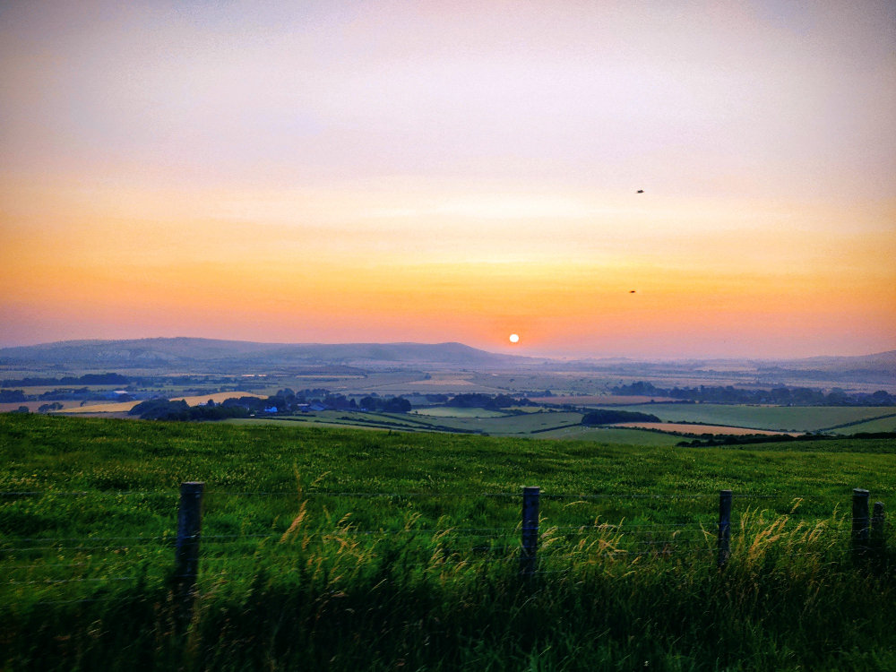 South Downs Way - Double 2021